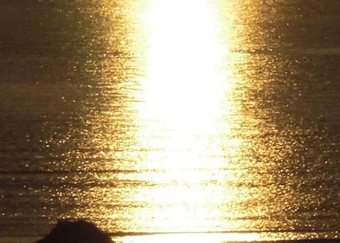 Regina Fronte Mare 3* רימיני